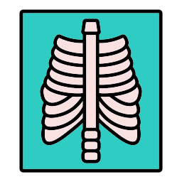 X Rays icon