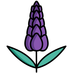 lavanda icono