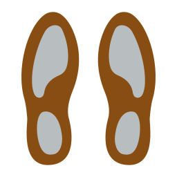 Sole icon