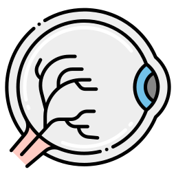 Optic icon