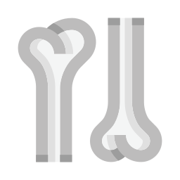 Bones icon