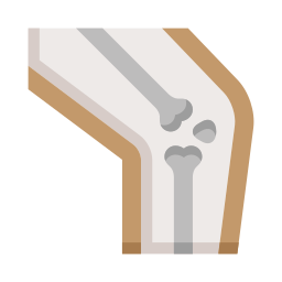 Articulação do joelho Ícone