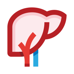 Liver organ icon
