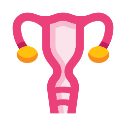 Uterus icon