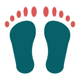 Footprint icon