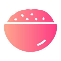 Rice bowl icon