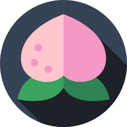 Peach icon