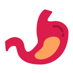 estómago icono