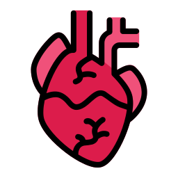 Heart organ icon