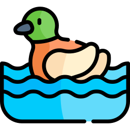 Duck icon