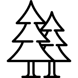 Spruces icon