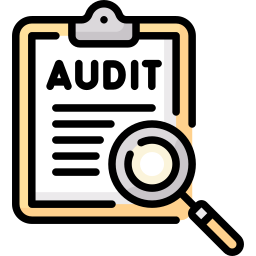 audit icoon