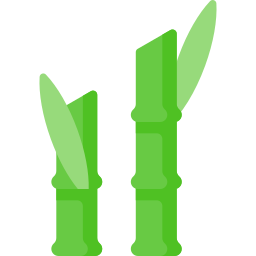 Sugar cane icon