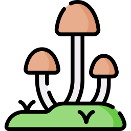 Mushroom icon