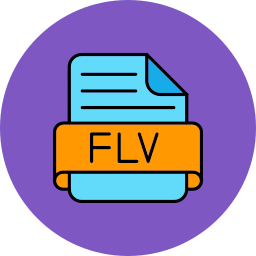 flv icon