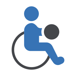 sport paralimpici icona