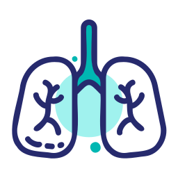 polmonare icona