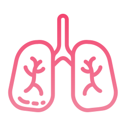 Pulmonary icon