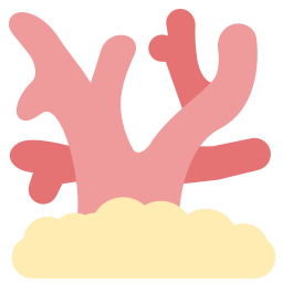 Coral icon