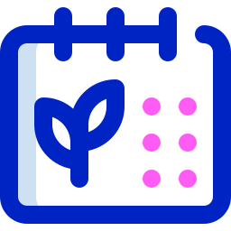 Date icon