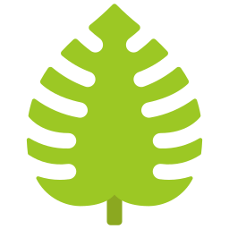 Monstera leaf icon