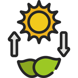 photosynthèse Icône