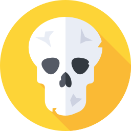 Skull icon