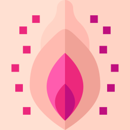 câncer de vulva Ícone