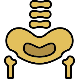 beckenknochen icon