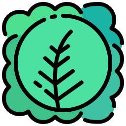 Cabbages icon