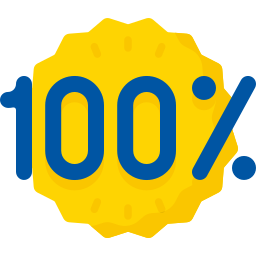 100 procent icoon