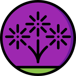 feuerwerk icon