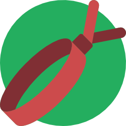 armband icon