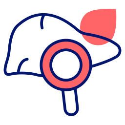 Liver icon