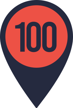 100 icon