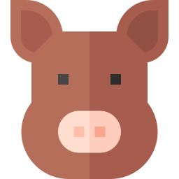 cochon sauvage Icône