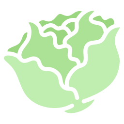 Cabbage  icon