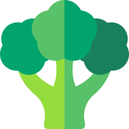 Broccoli icon