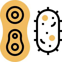 Bacteria icon