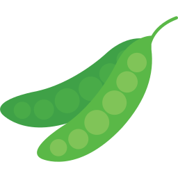 콩과 식물 icon