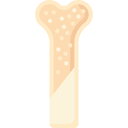osso Ícone