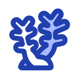 Coral icon