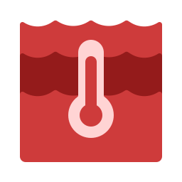 temperatur icon