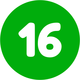 Number 16 icon