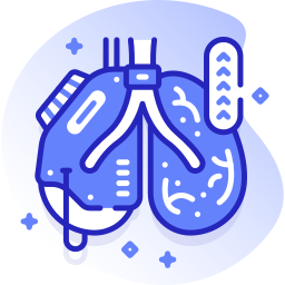 Lungs icon