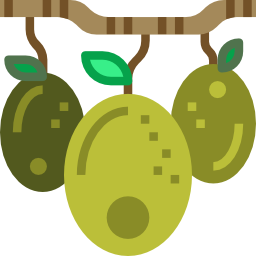 olijven icoon