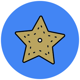 Starfish icon