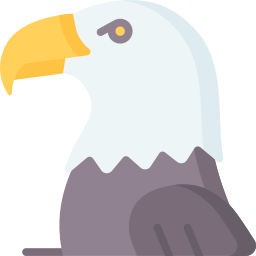 Bald eagle icon