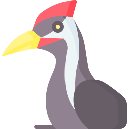 Woodpecker icon