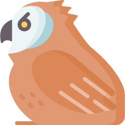 Owl icon